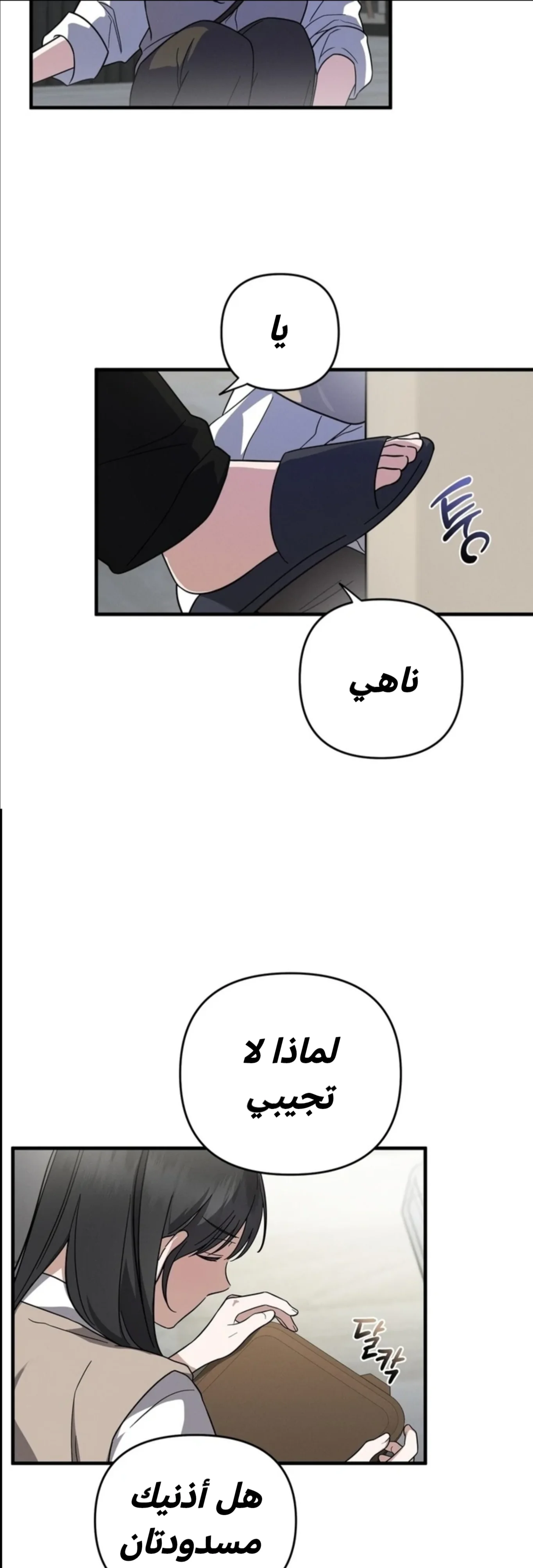 الصفحة 3