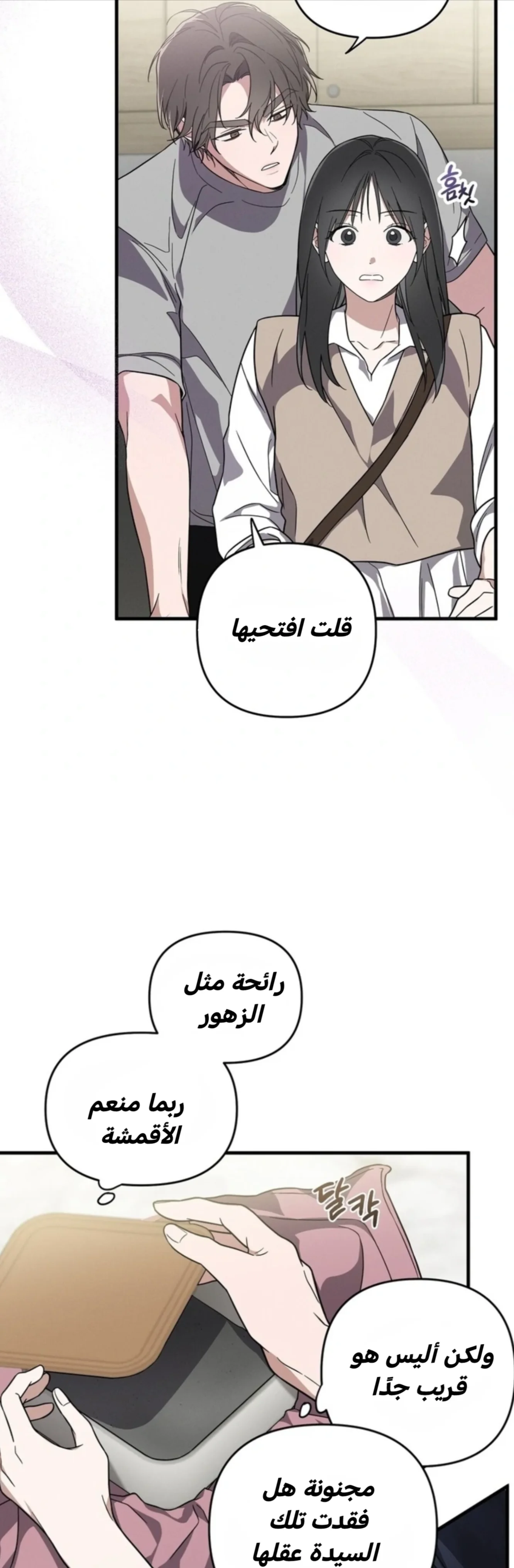 الصفحة 11