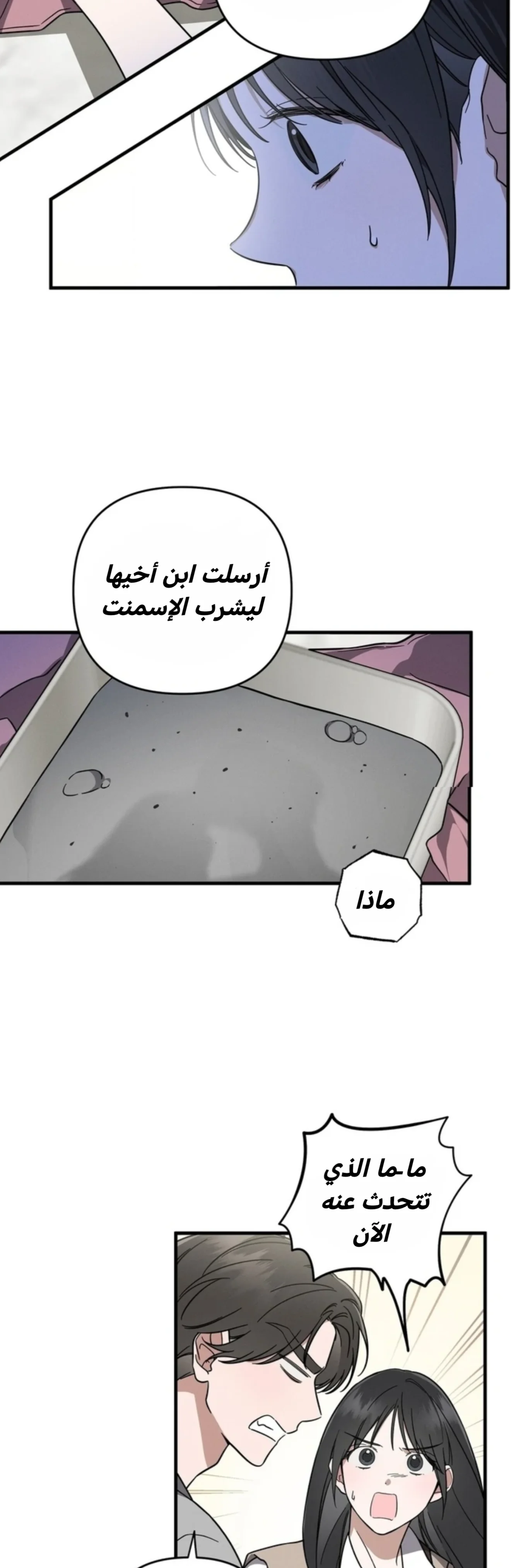 الصفحة 12
