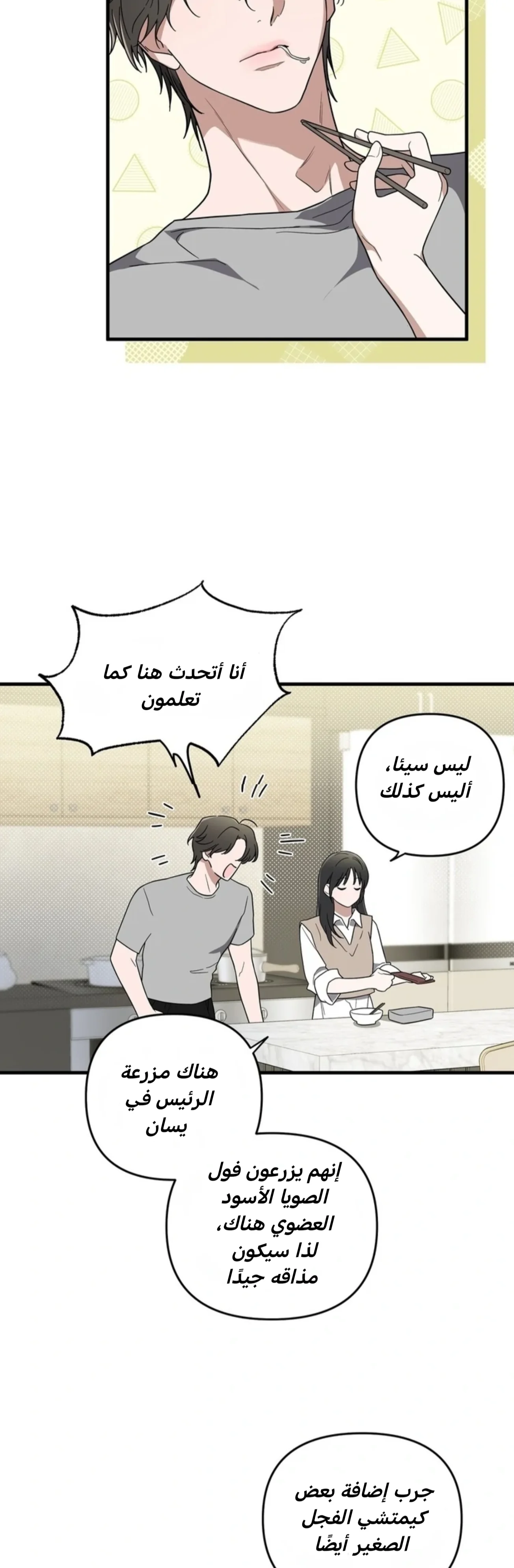 الصفحة 32