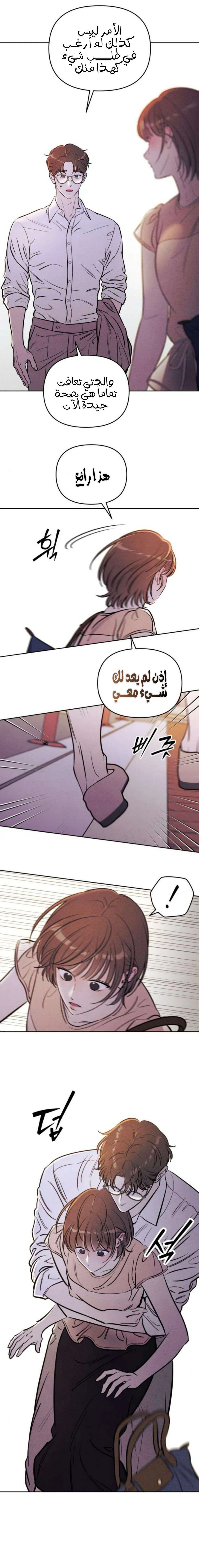 الصفحة 17