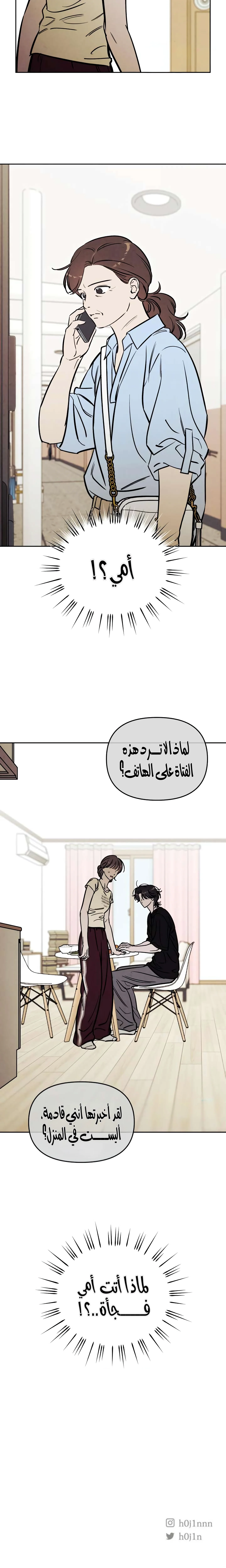 الصفحة 17