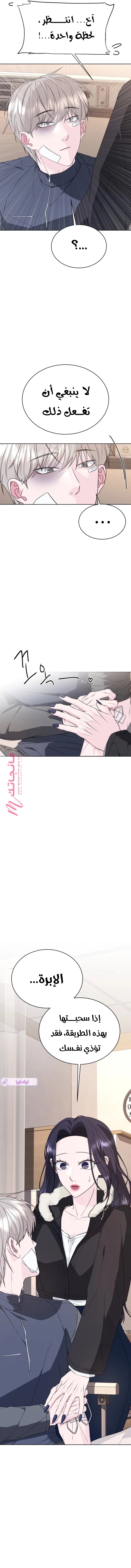 الصفحة 11