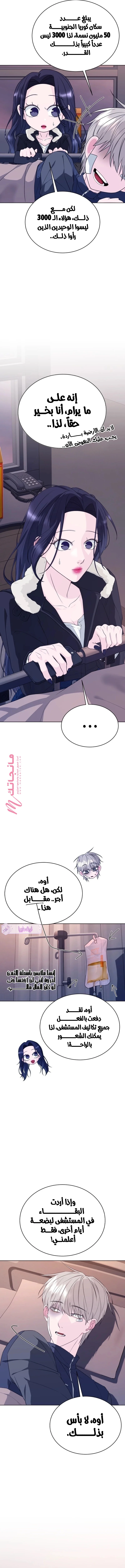 الصفحة 17