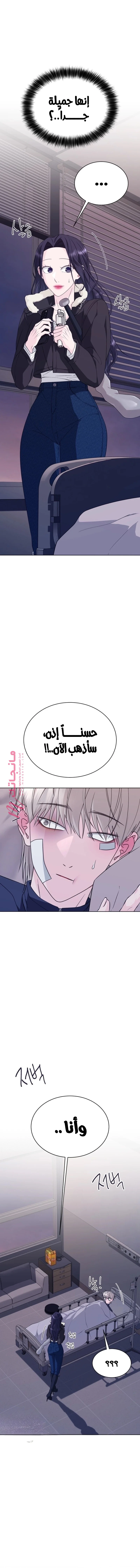 الصفحة 20