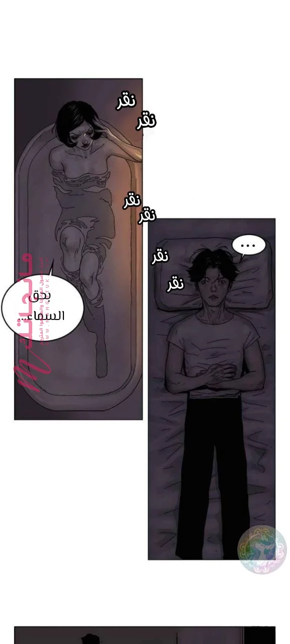 الصفحة 11
