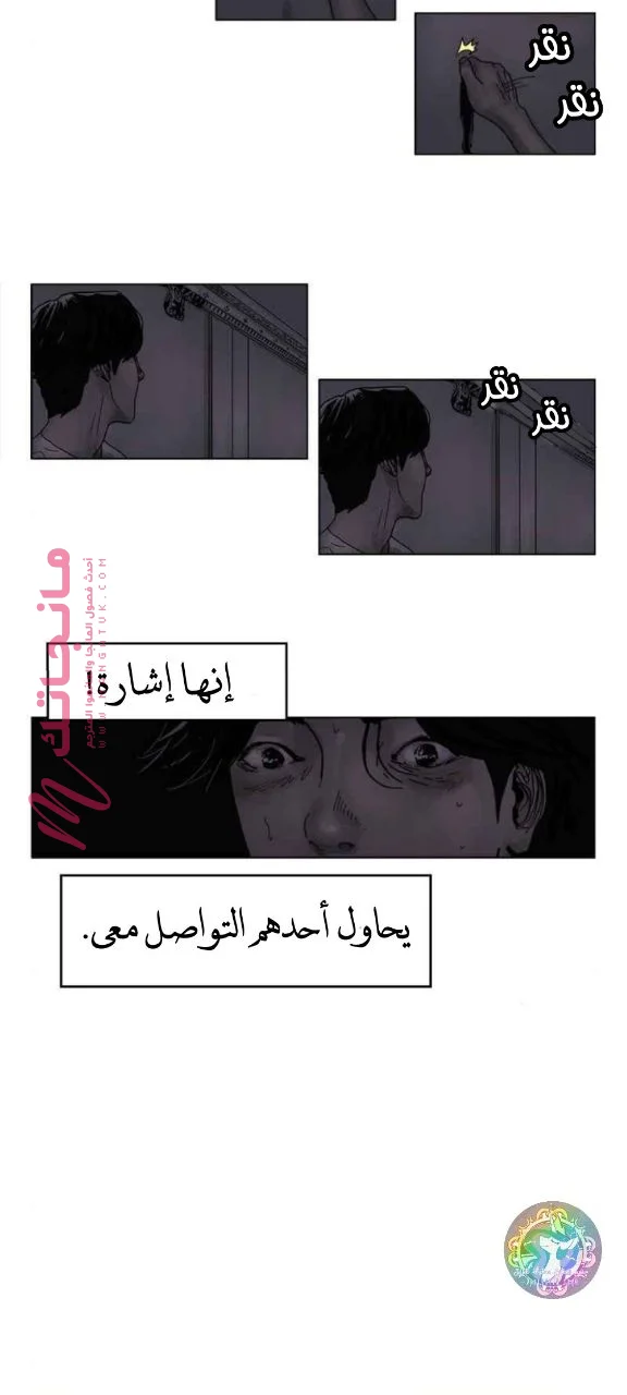 الصفحة 14