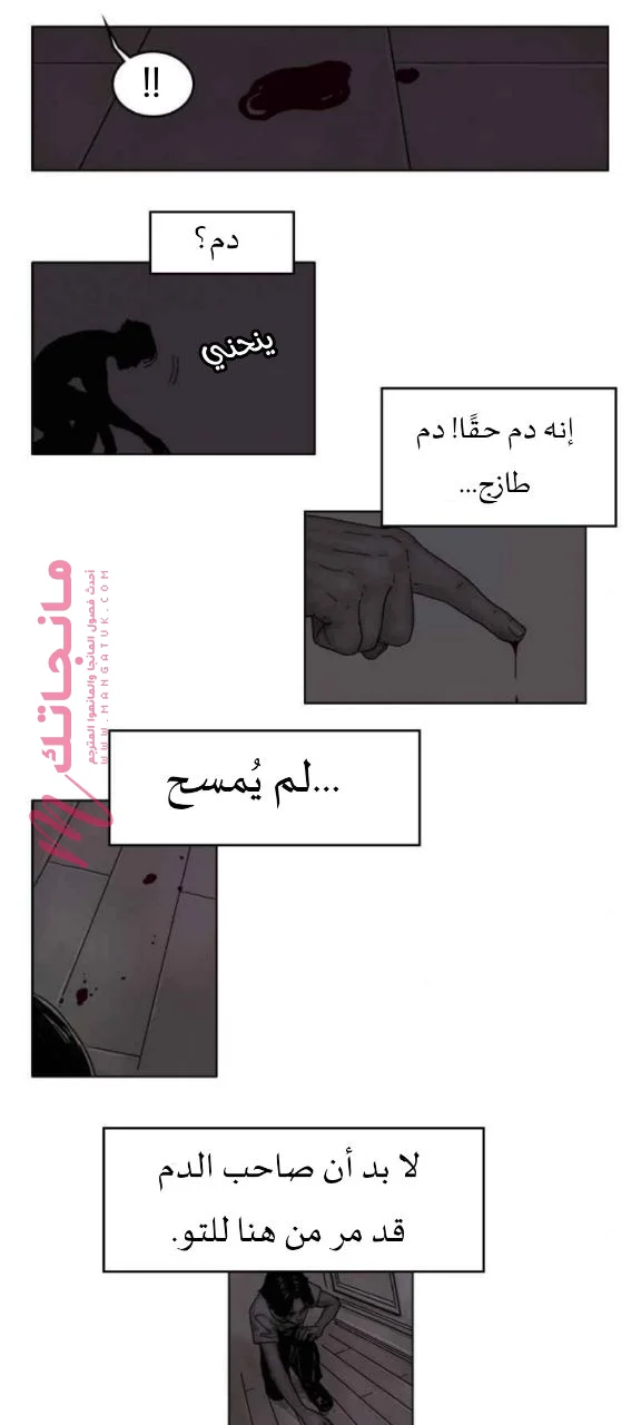 الصفحة 17