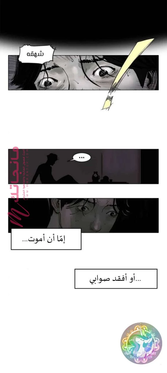 الصفحة 12