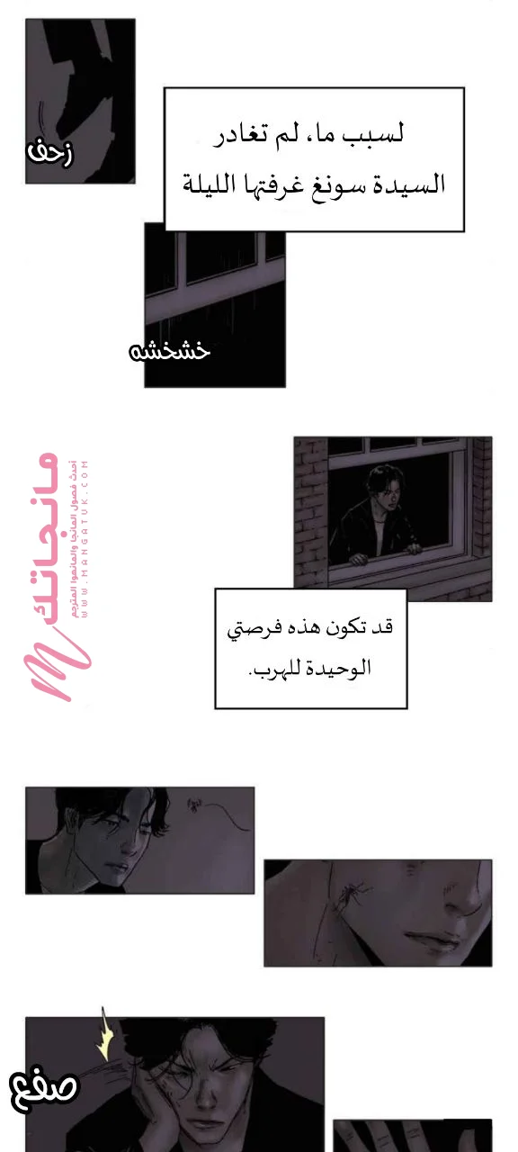 الصفحة 14
