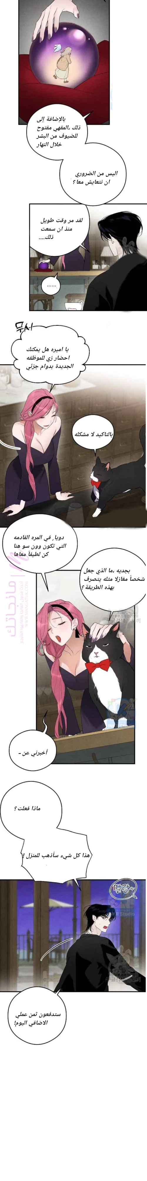 الصفحة 8