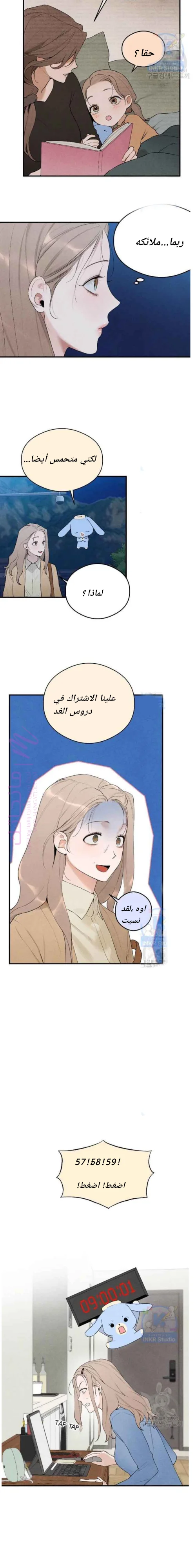 الصفحة 10