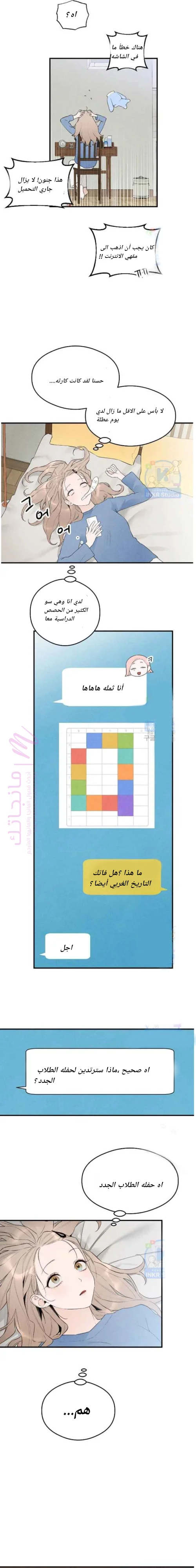 الصفحة 11