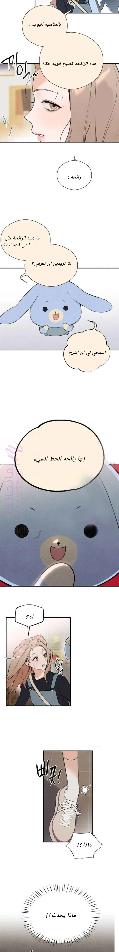 الصفحة 14