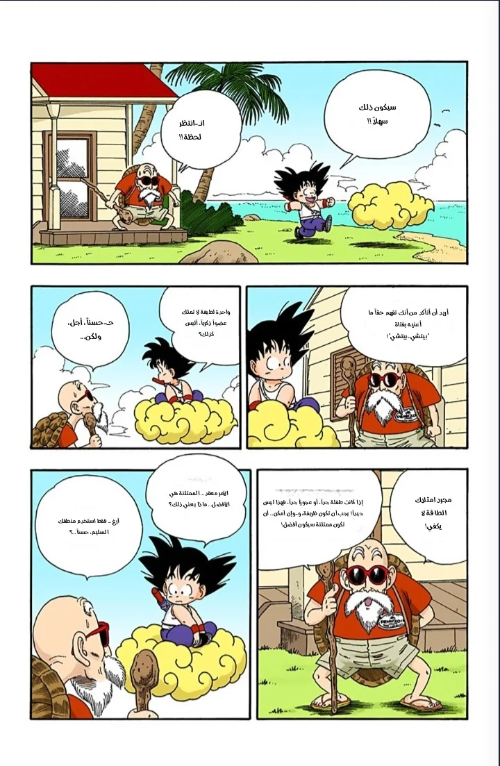 الصفحة 13