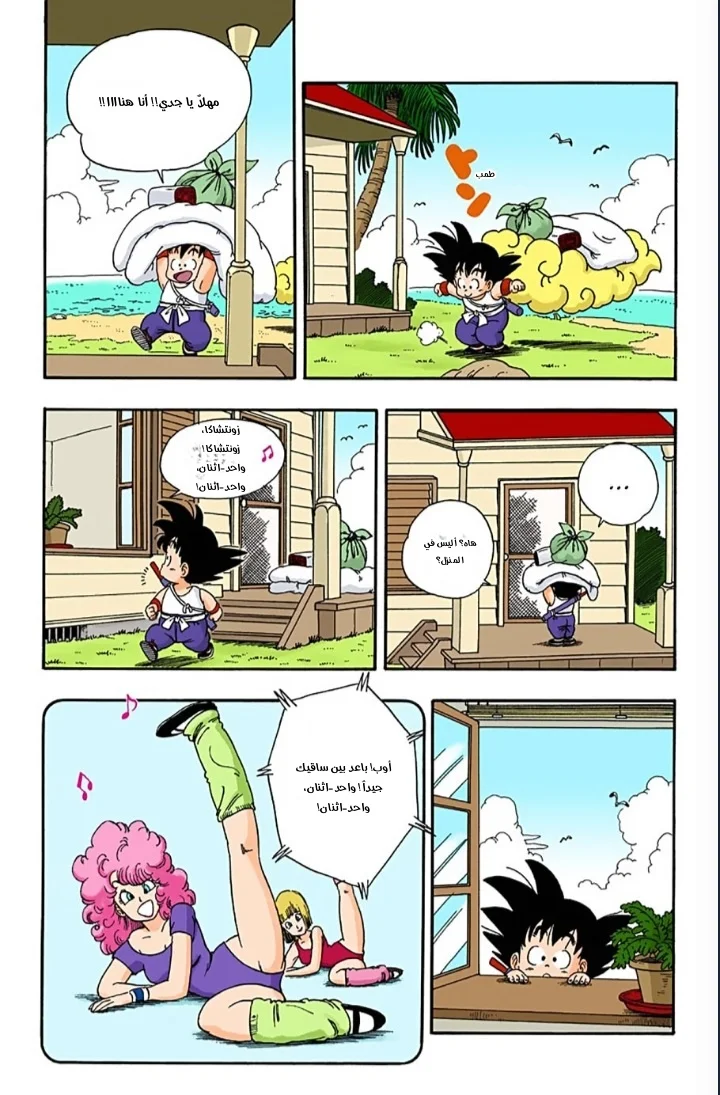 الصفحة 6