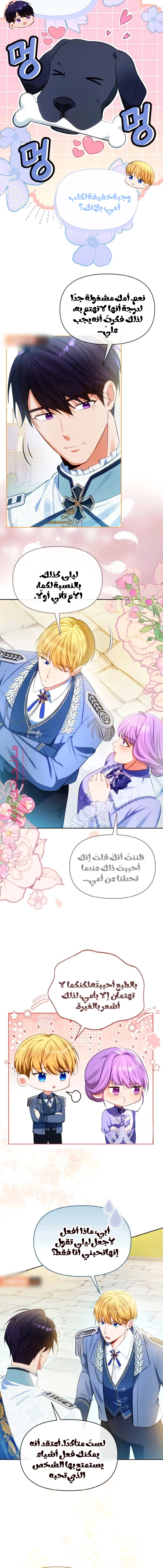 الصفحة 14