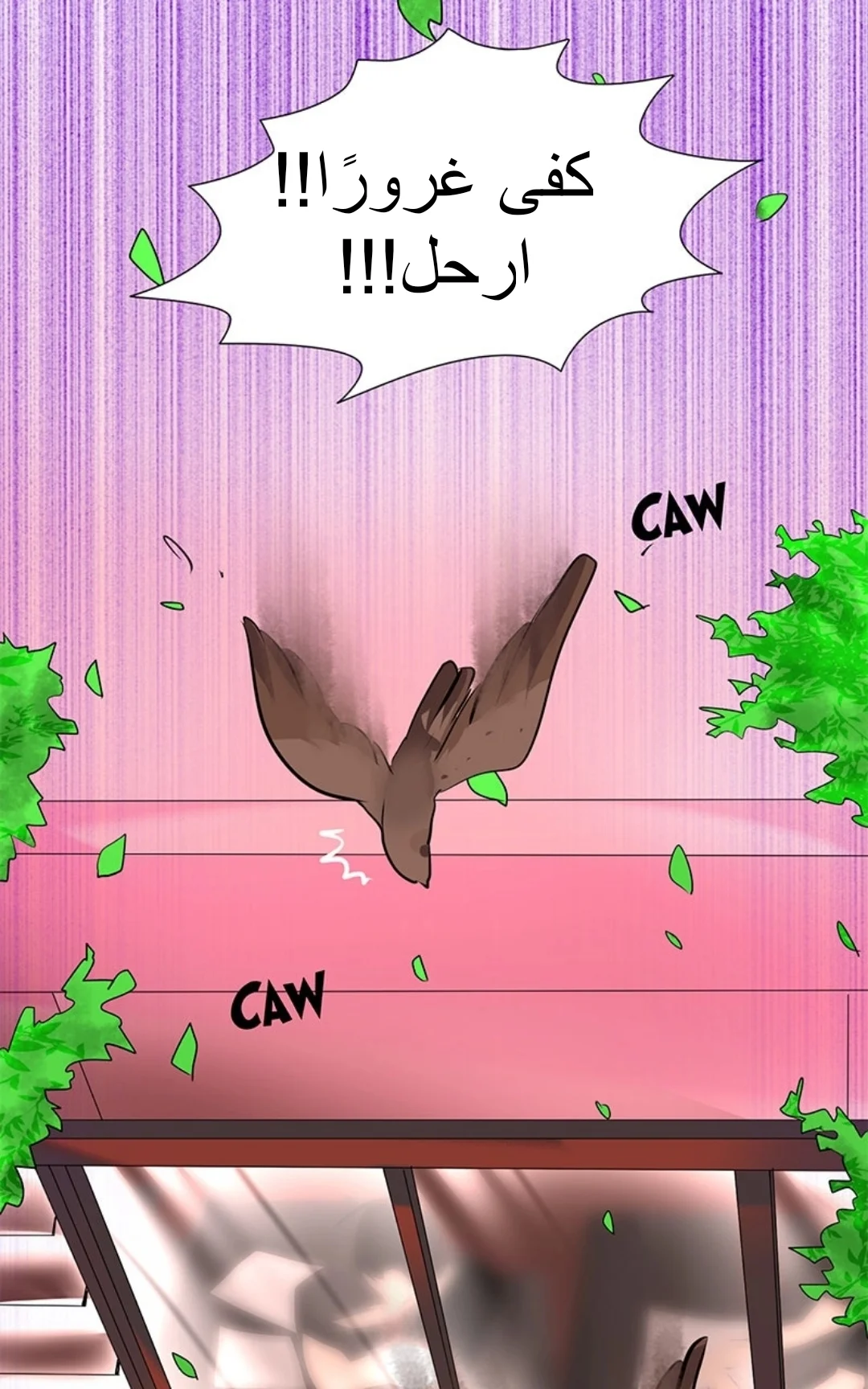 الصفحة 6