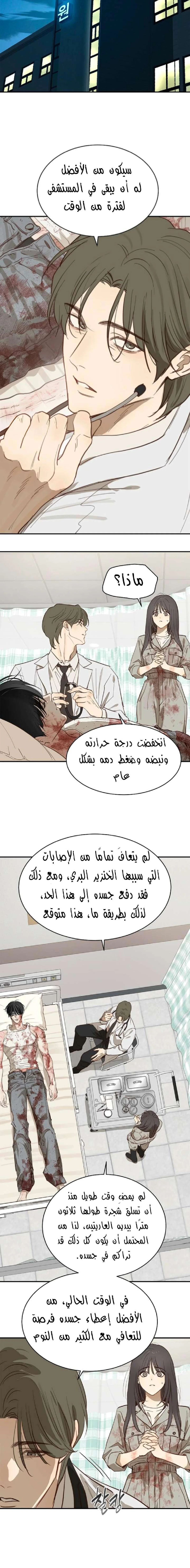 الصفحة 14