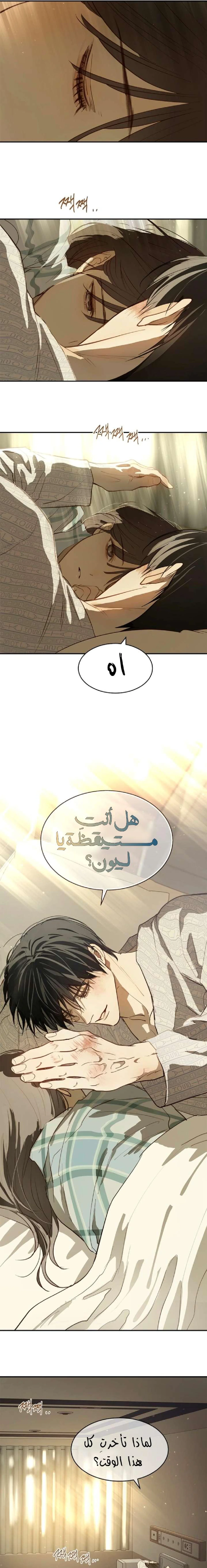 الصفحة 19