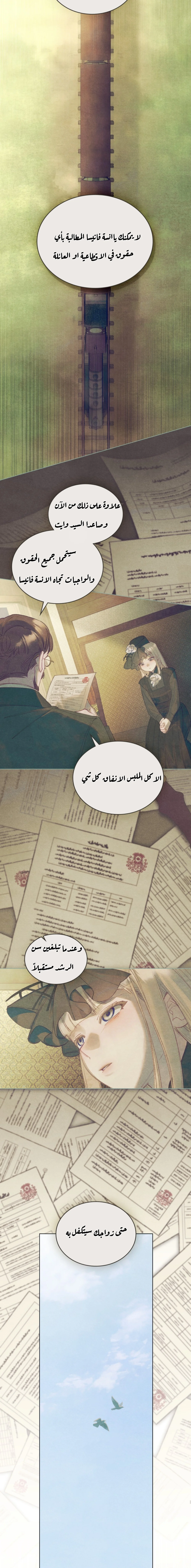 الصفحة 13