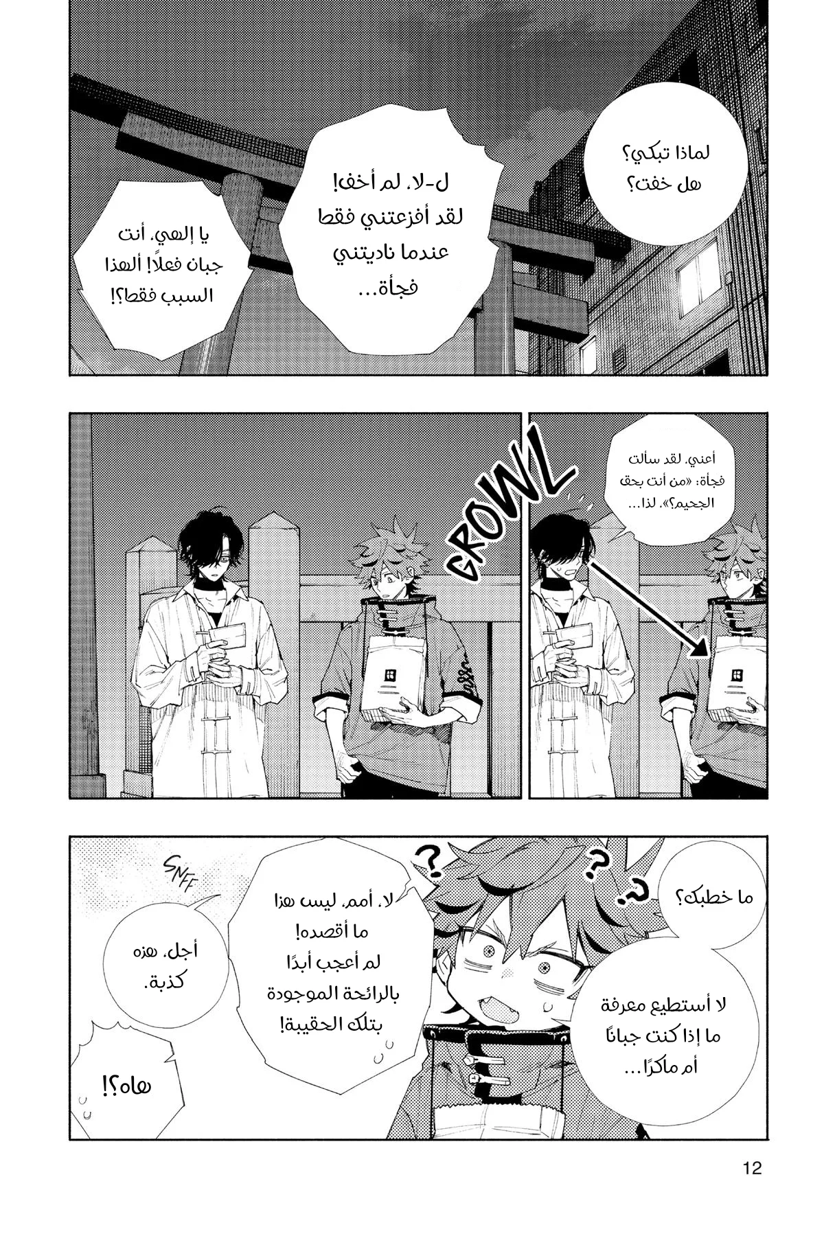 الصفحة 11