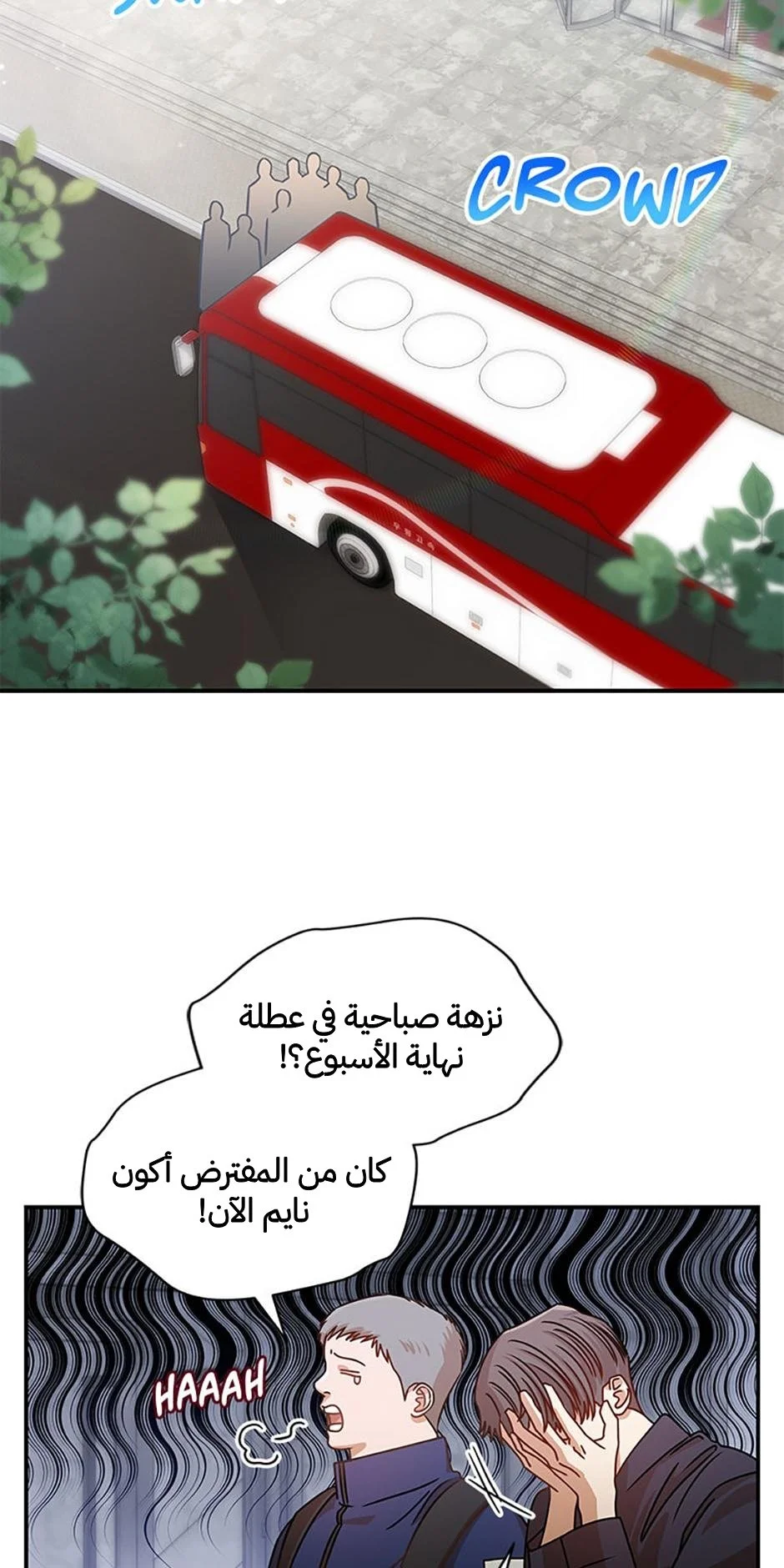 الصفحة 31