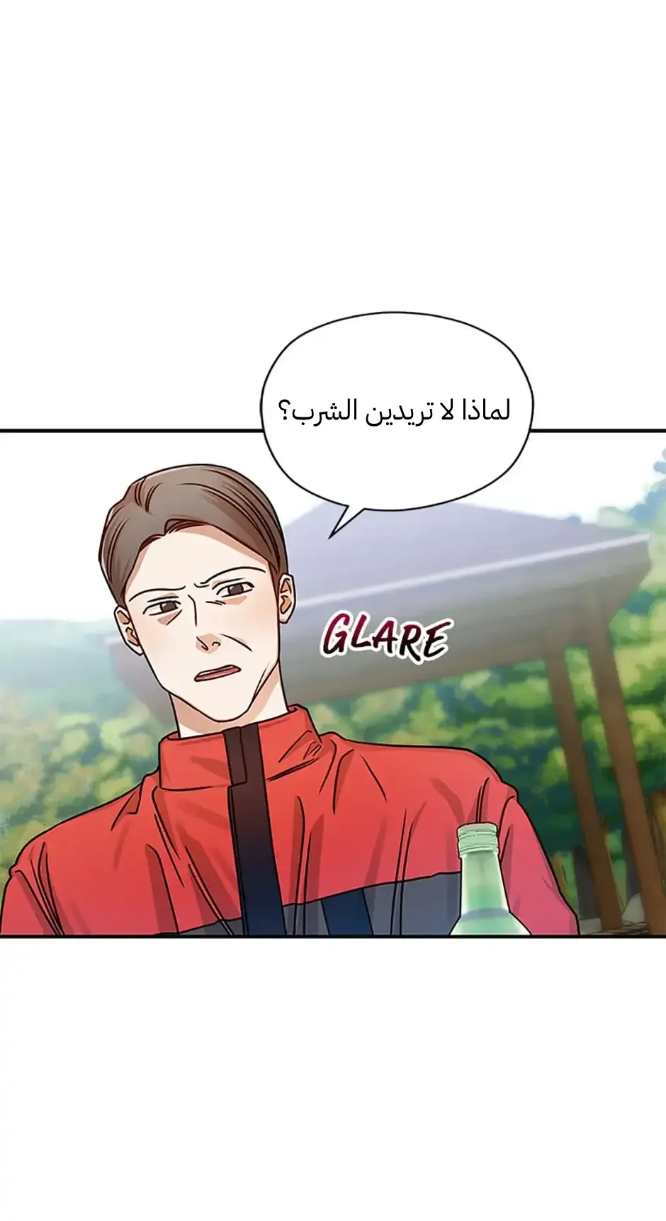 الصفحة 40