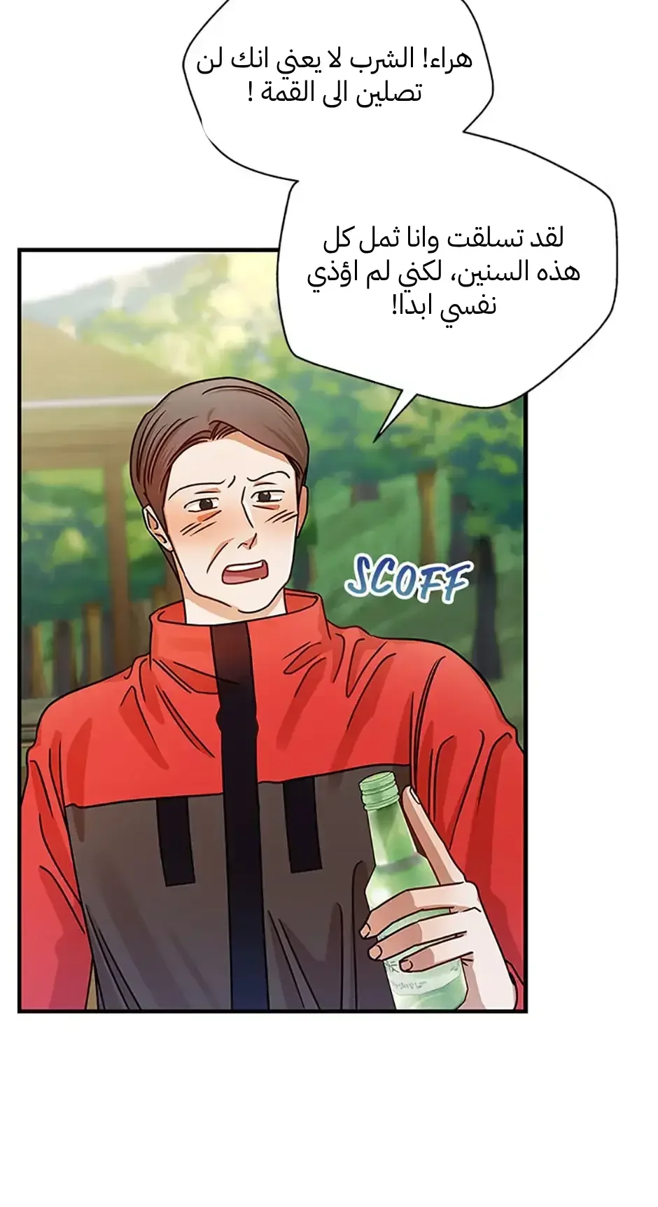 الصفحة 42