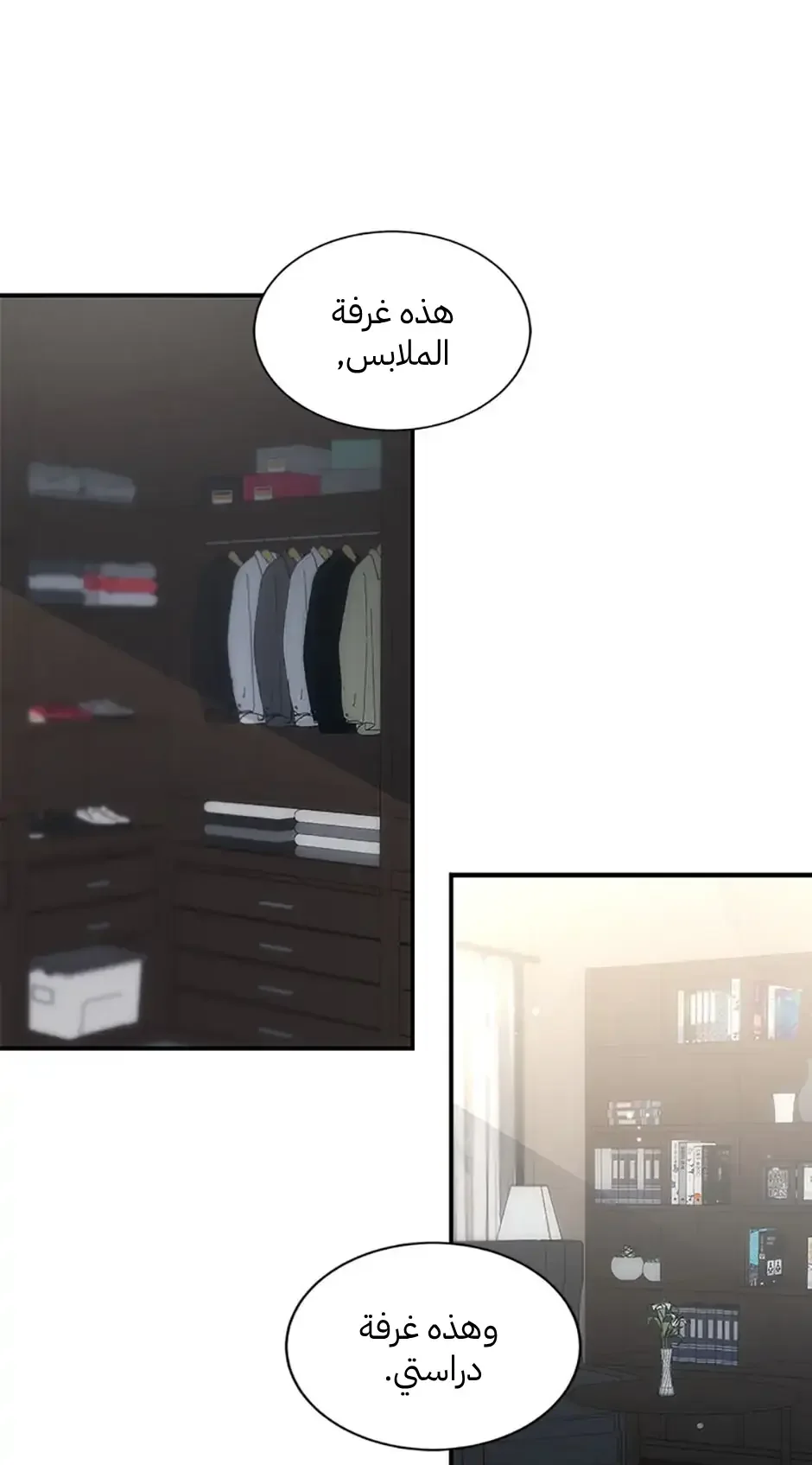 الصفحة 24