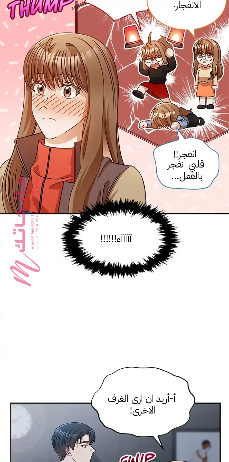 الصفحة 29
