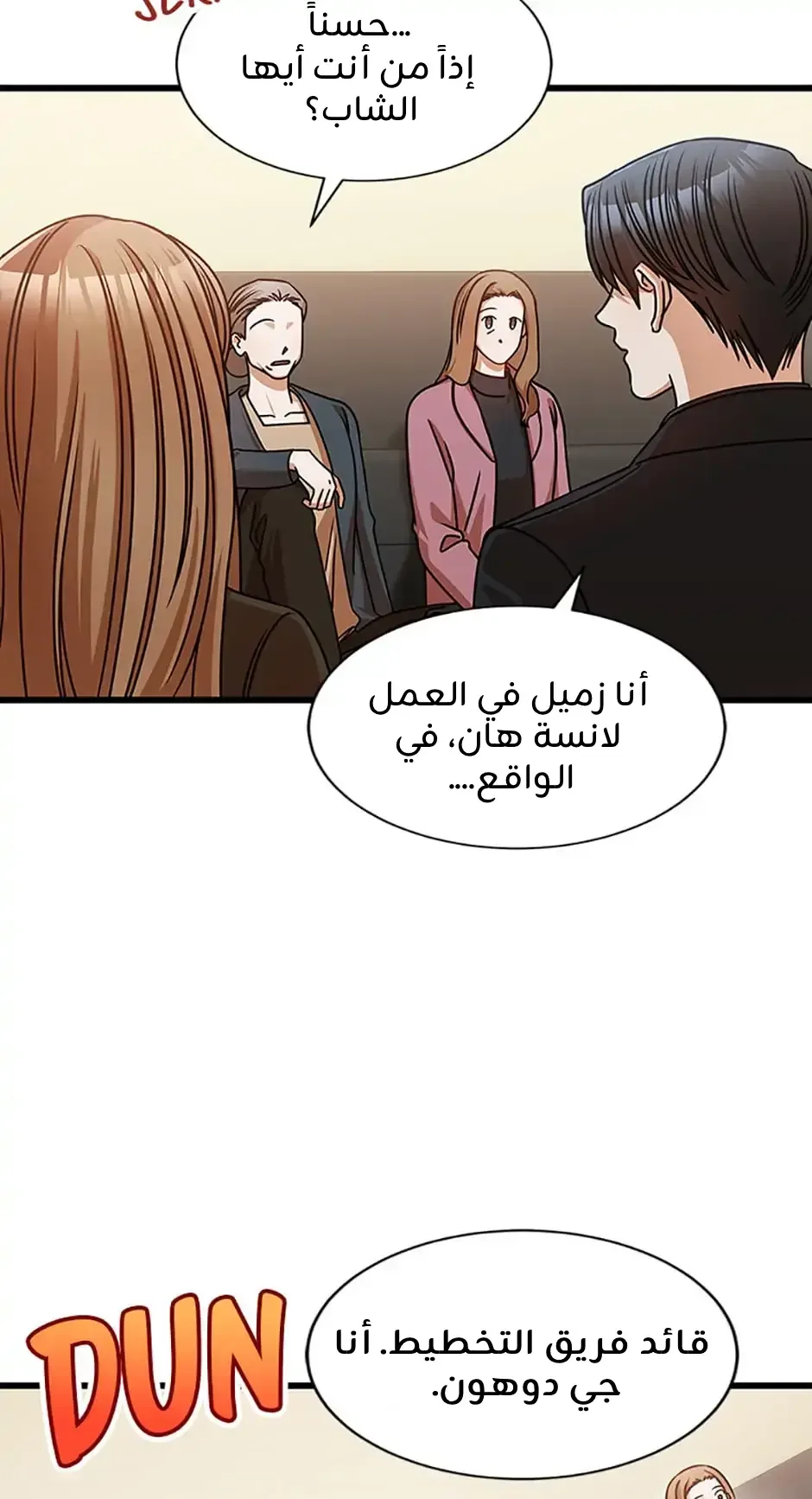 الصفحة 17