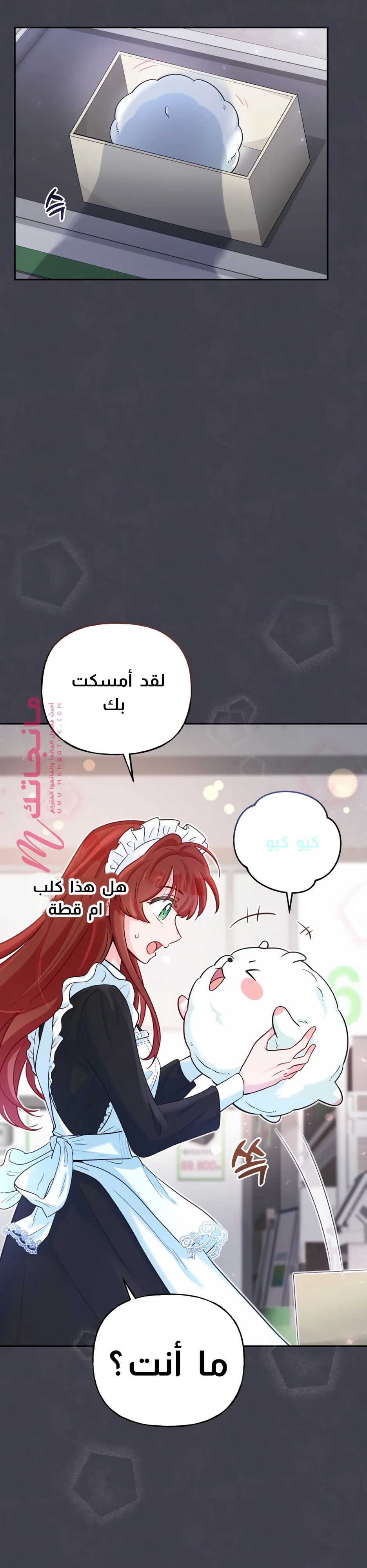 الصفحة 14