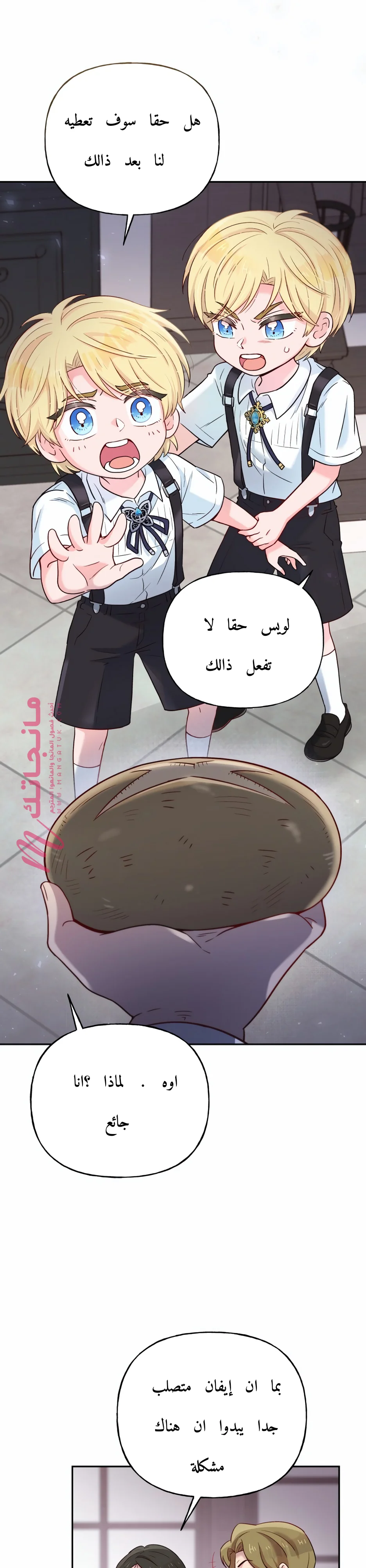 الصفحة 26