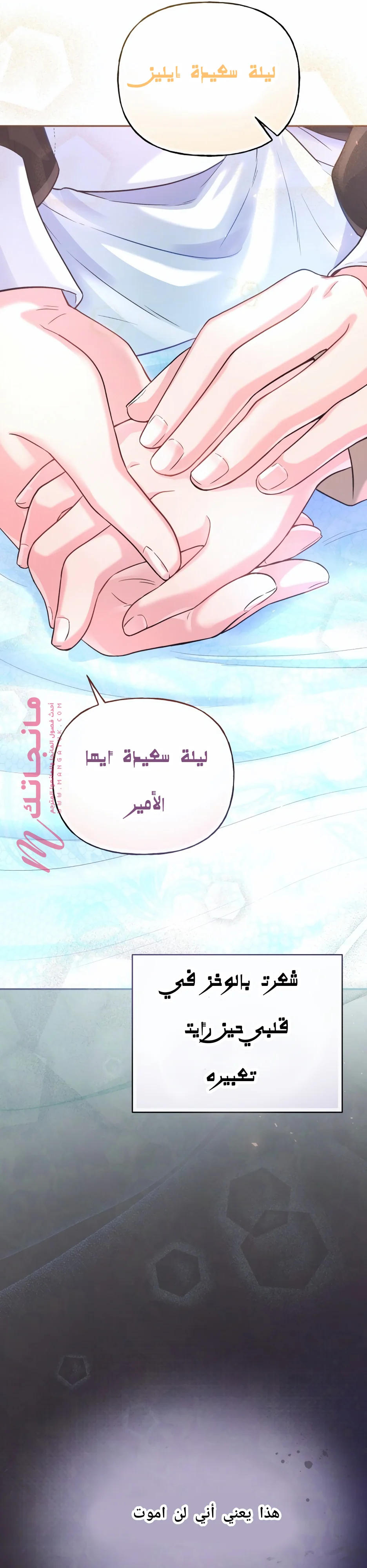 الصفحة 8