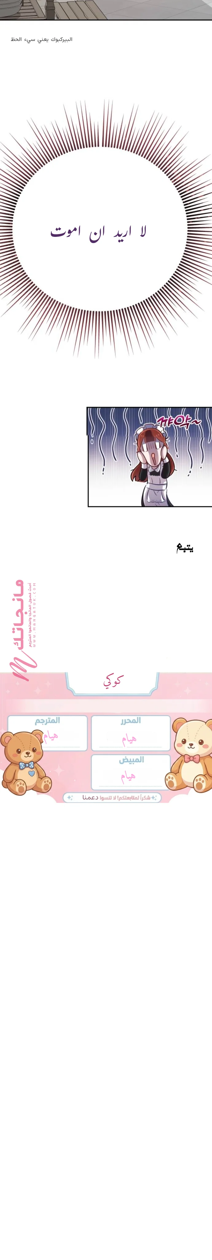 الصفحة 17