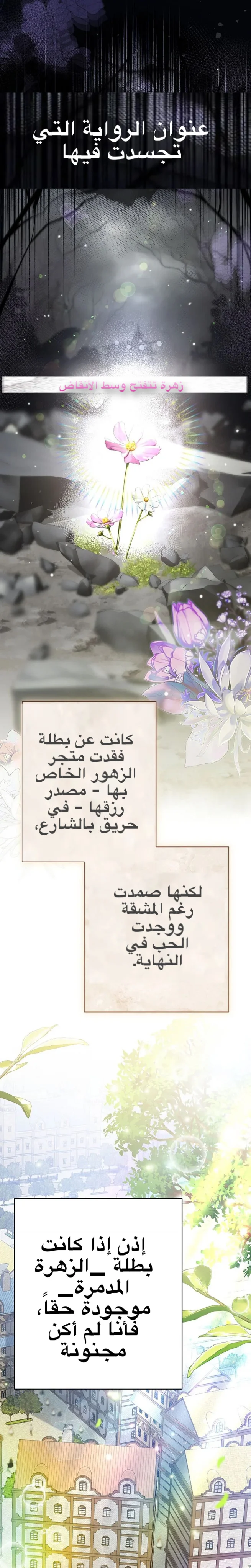 الصفحة 28