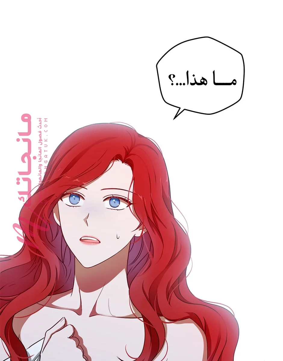 الصفحة 25
