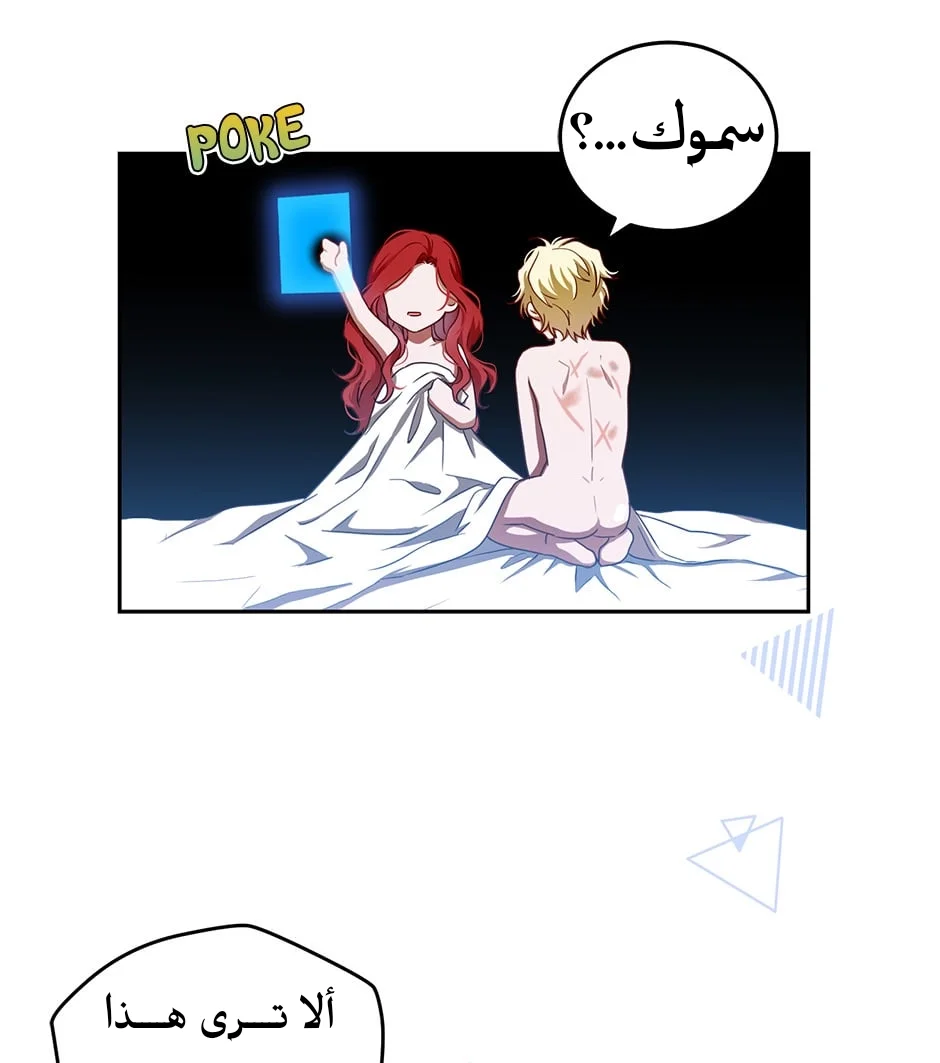 الصفحة 27