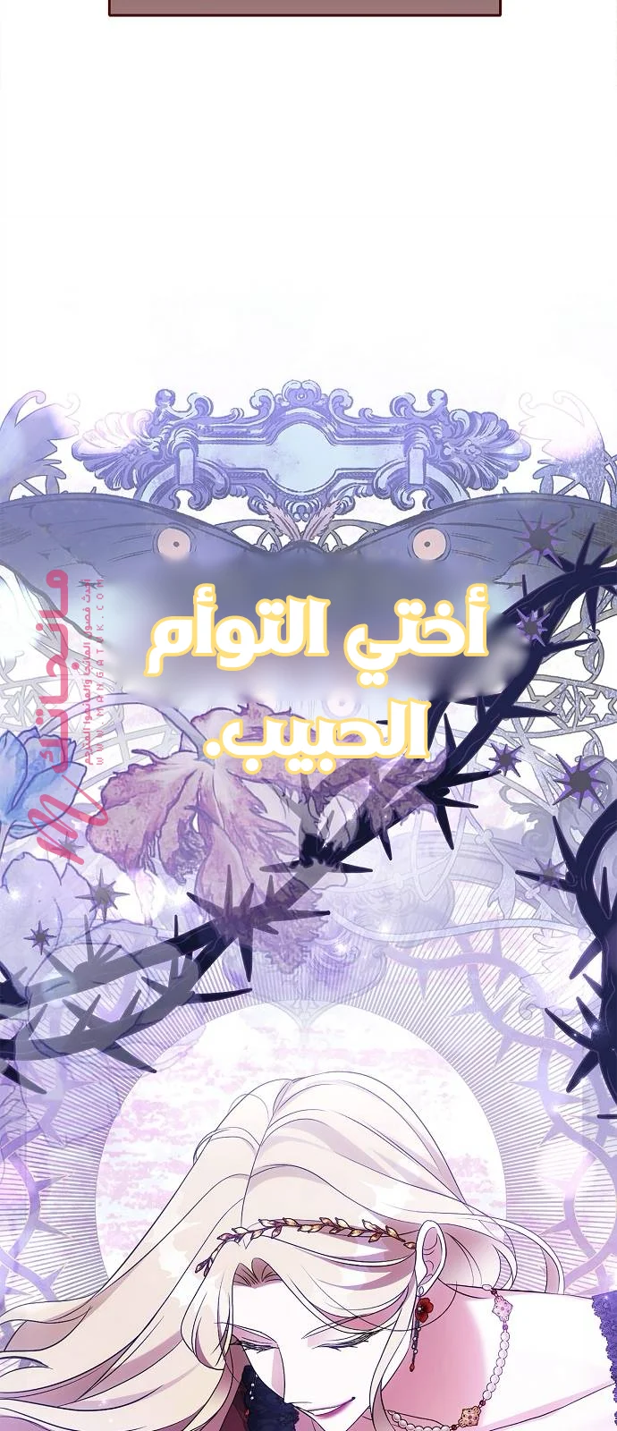 الصفحة 29