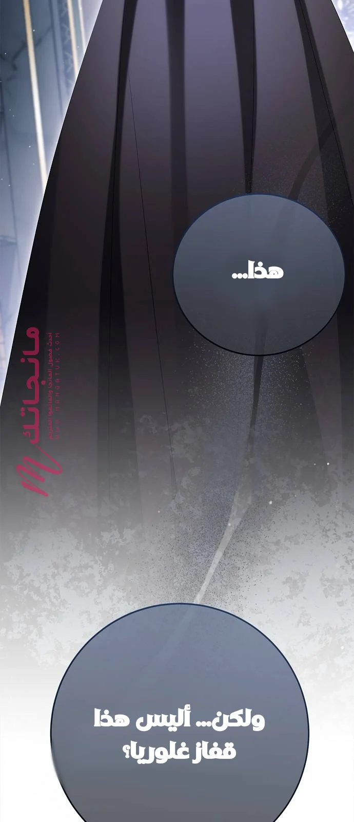 الصفحة 67