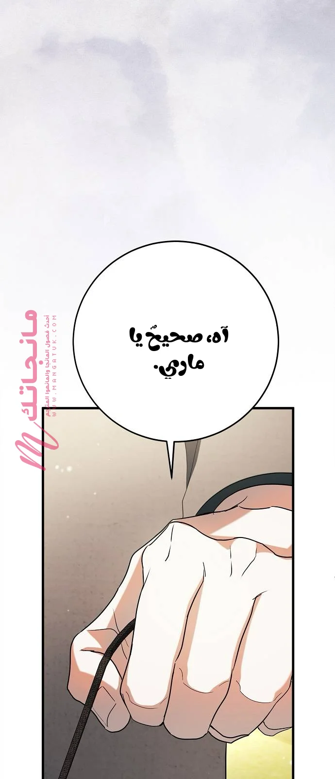 الصفحة 108