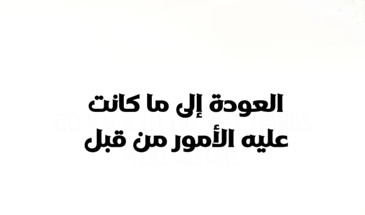 الصفحة 8