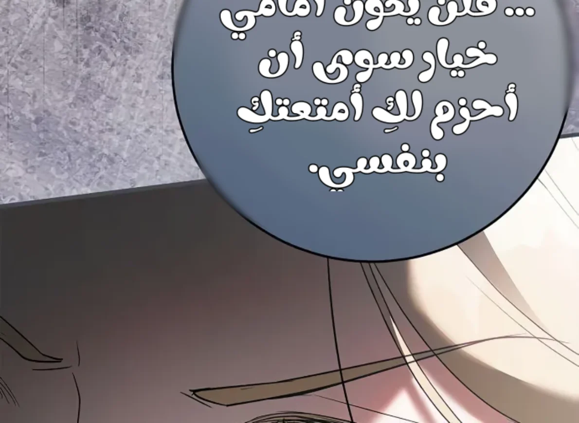 الصفحة 26