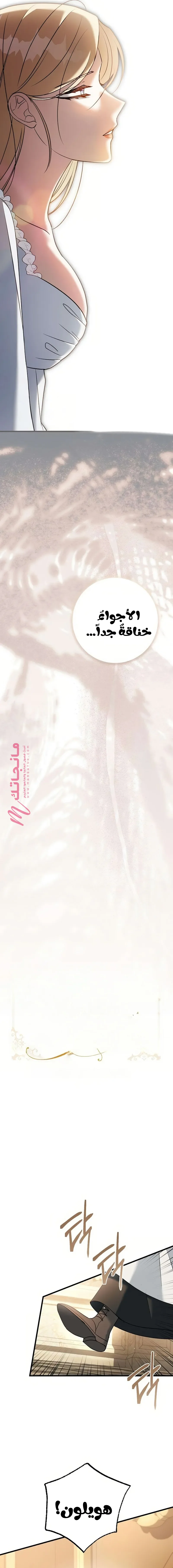 الصفحة 14