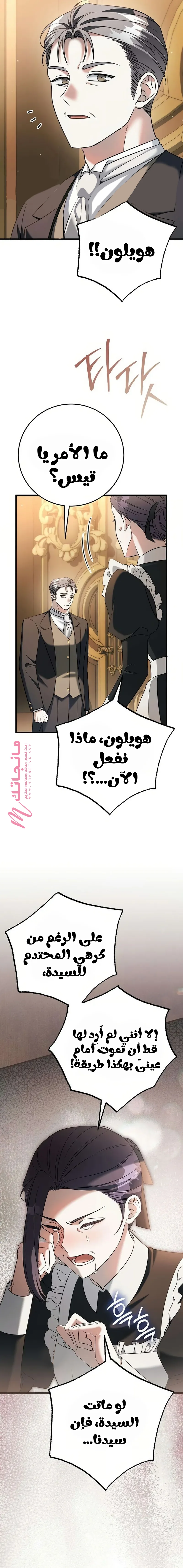 الصفحة 15