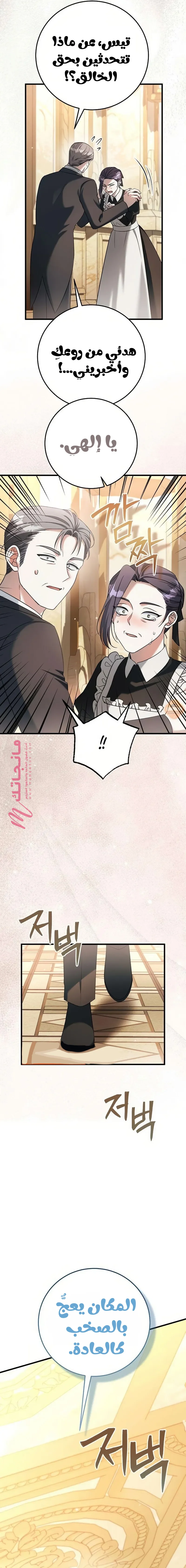 الصفحة 16