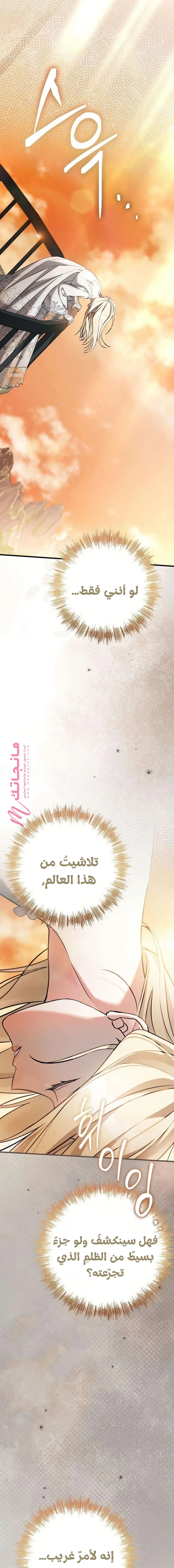 الصفحة 19