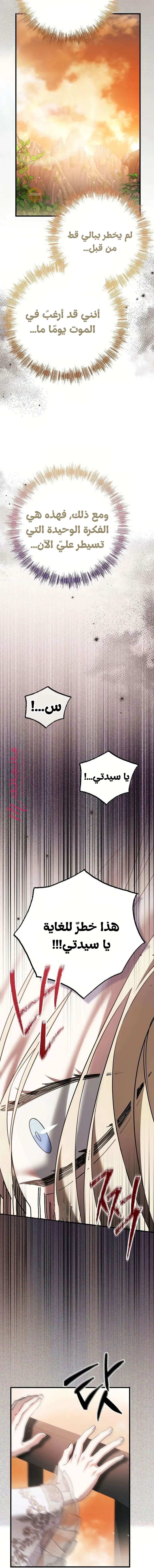 الصفحة 20