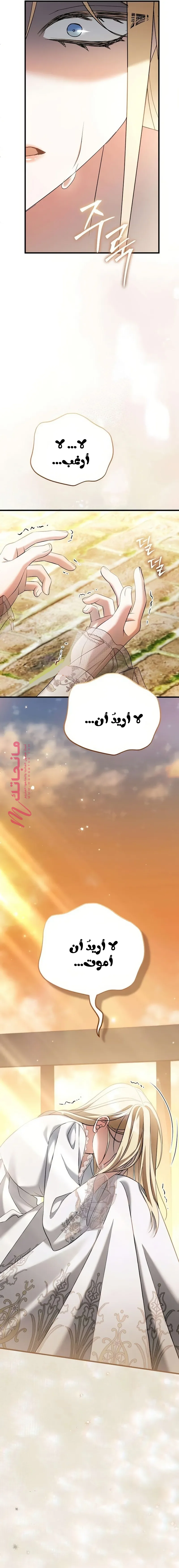 الصفحة 22